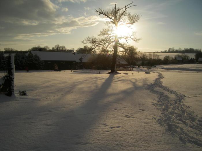 La Ferme Des Epis Guest House Ouffieres Exterior photo